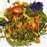 Tisane de Provence- infusion bonne nuit- FBKT