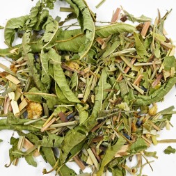 Infusion Thym citron romarin bio