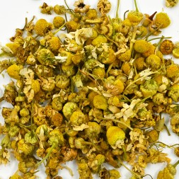 Infusion Camomille - digestion facile