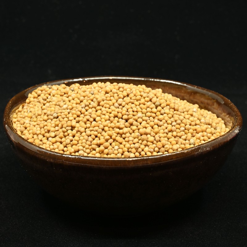Moutarde jaune en grains