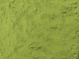 Matcha Ujicha bio